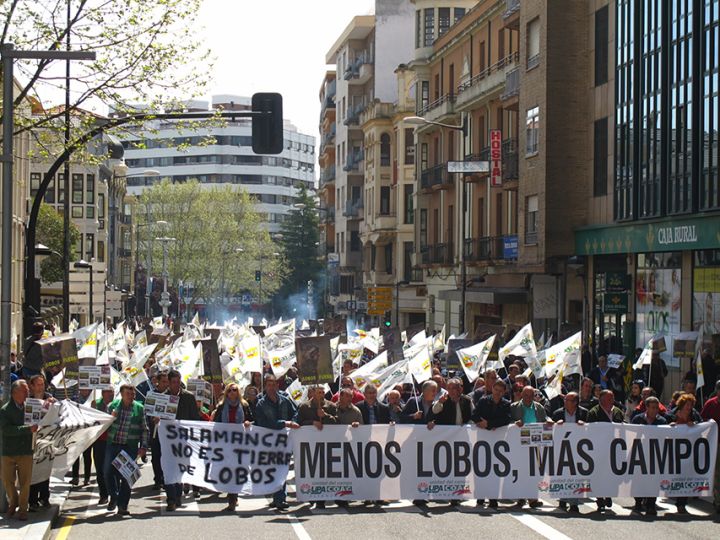 La Alianza UPA COAG movilizará a los ganaderos en toda Castilla y León