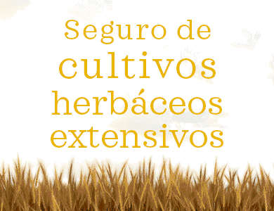 Agroseguro - 40 años: Seguro de cultivos herbáceos extensivos. ¡contrátalo ya!