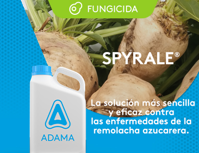 SPYRALE - Fungicida: La solución más sencilla y eficaz contra las enfermedades de la remolacha azucarera