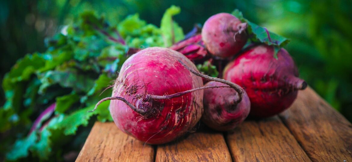 beetroot-687251_1920