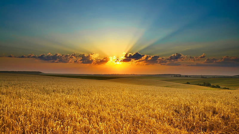 HD-wallpaper-sunset-at-the-fields-nature-sunset-sun-field