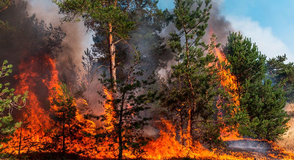 230504-Aca4-des-f1-Se-incrementa-el-numero-de-incendios-forestales-provocados