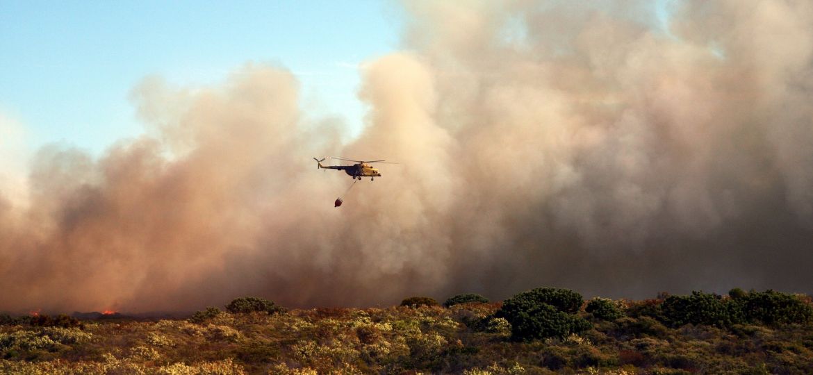 bush-fire-3806345_1920