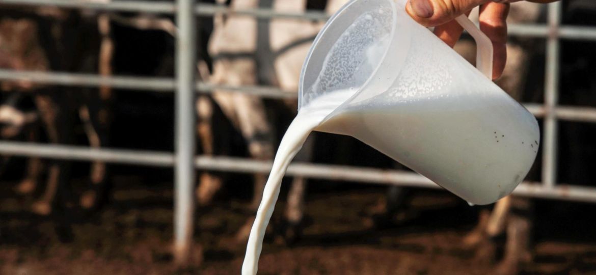 Menos redes y más ciencia: Cómo evitar intoxicaciones alimentarias en olas de calor