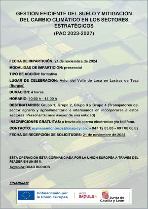 Cartel Curso 21 noviembre 2024300