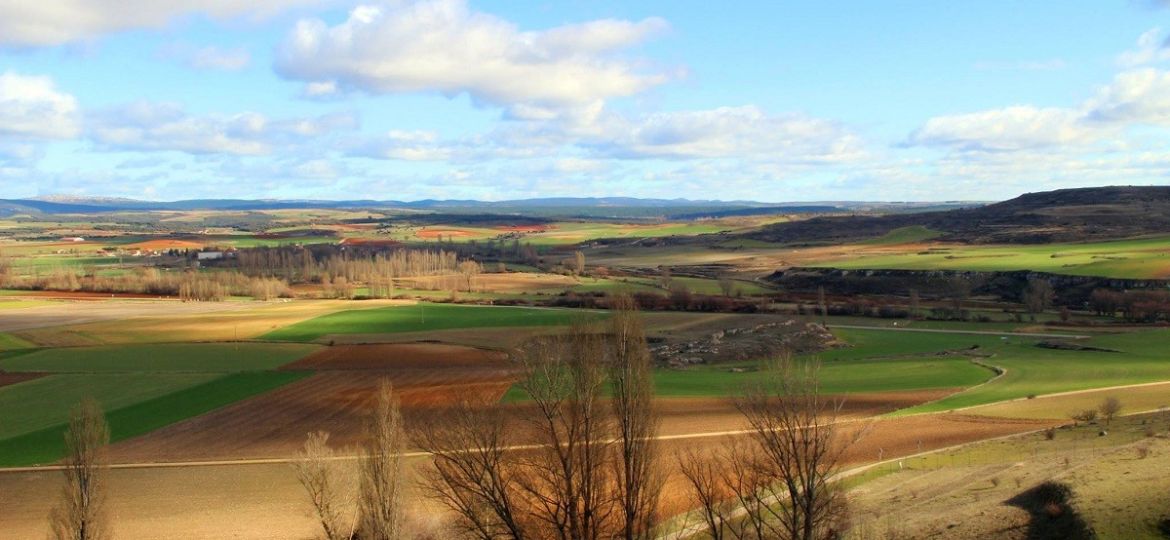 paisaje-agrario-en-penalba-de-castro-burgos-76622-xl