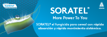 Banner Soratel Digital Ads_355x125