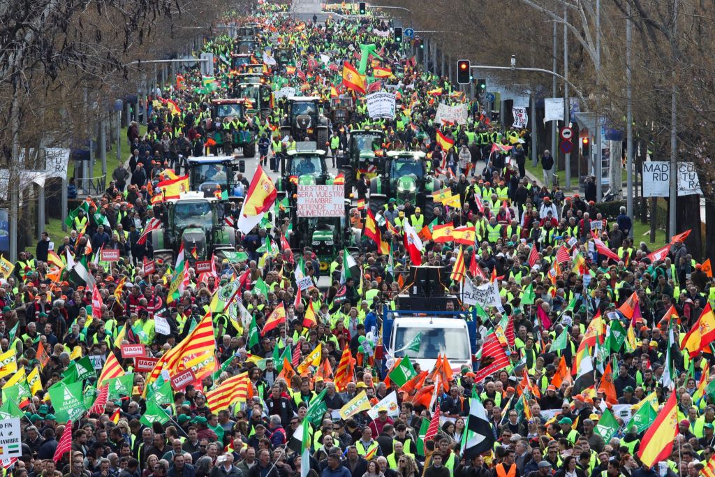 manifestación