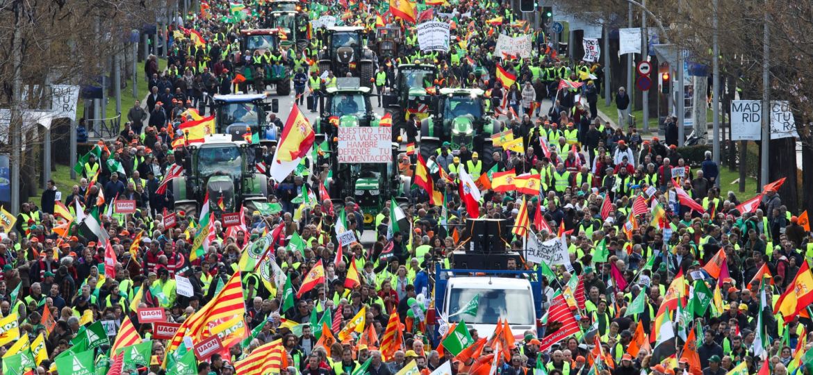 manifestación