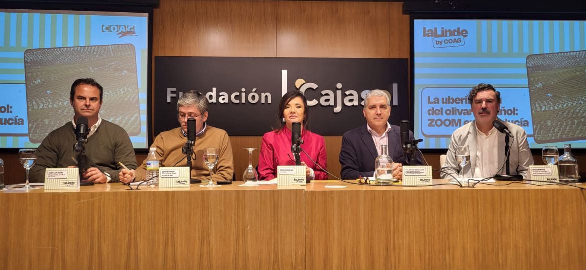 presentación 1