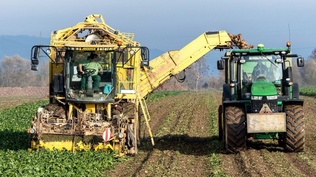 La renta agraria alcanza los 37.759 millones de euros en 2024, el 14,2 % más que el año anterior