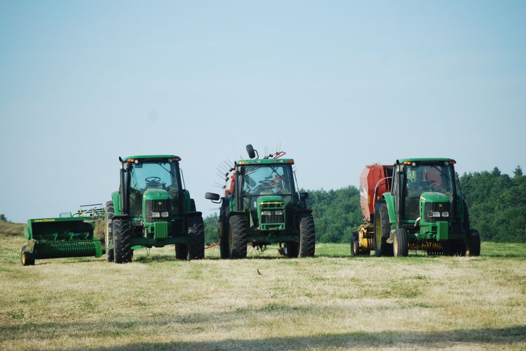 Balance 2024: el sector agrario salva la producción gracias a la alta cualificación profesional y la climatología, pero los precios agrícolas siguen mermando la rentabilidad de las explotaciones familiares