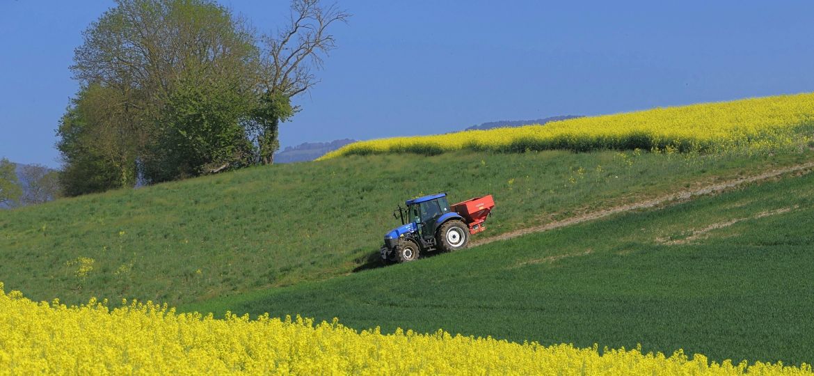 tractor-colza