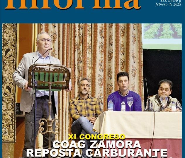 portada 113