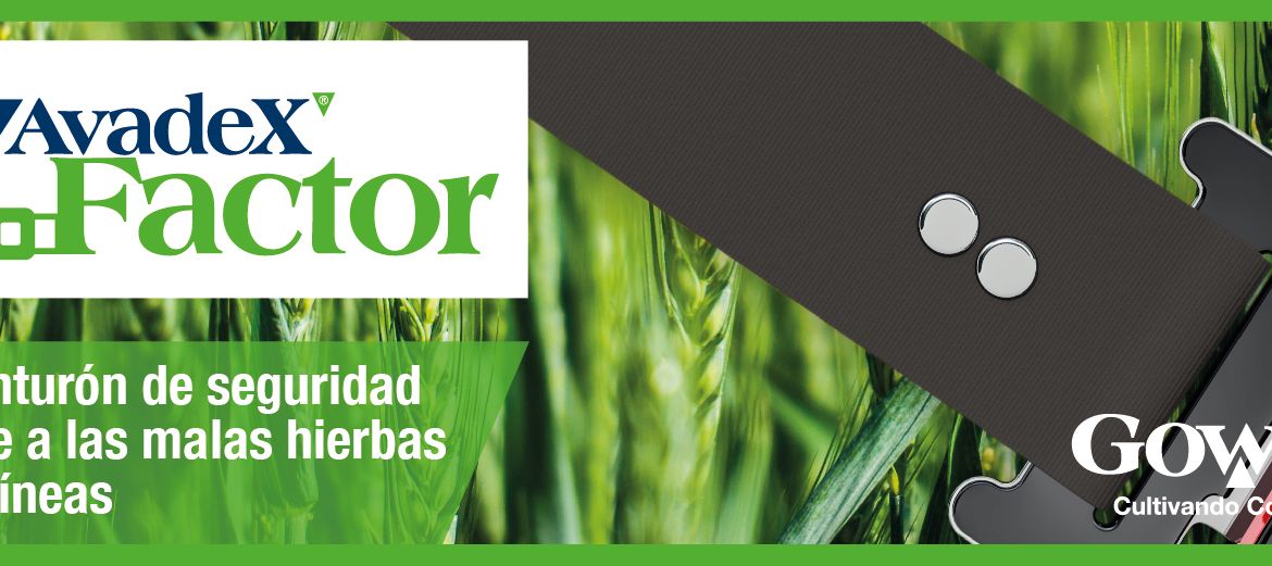 Avadex_Banner_Mesa de trabajo 1 copia[4] GOWAN