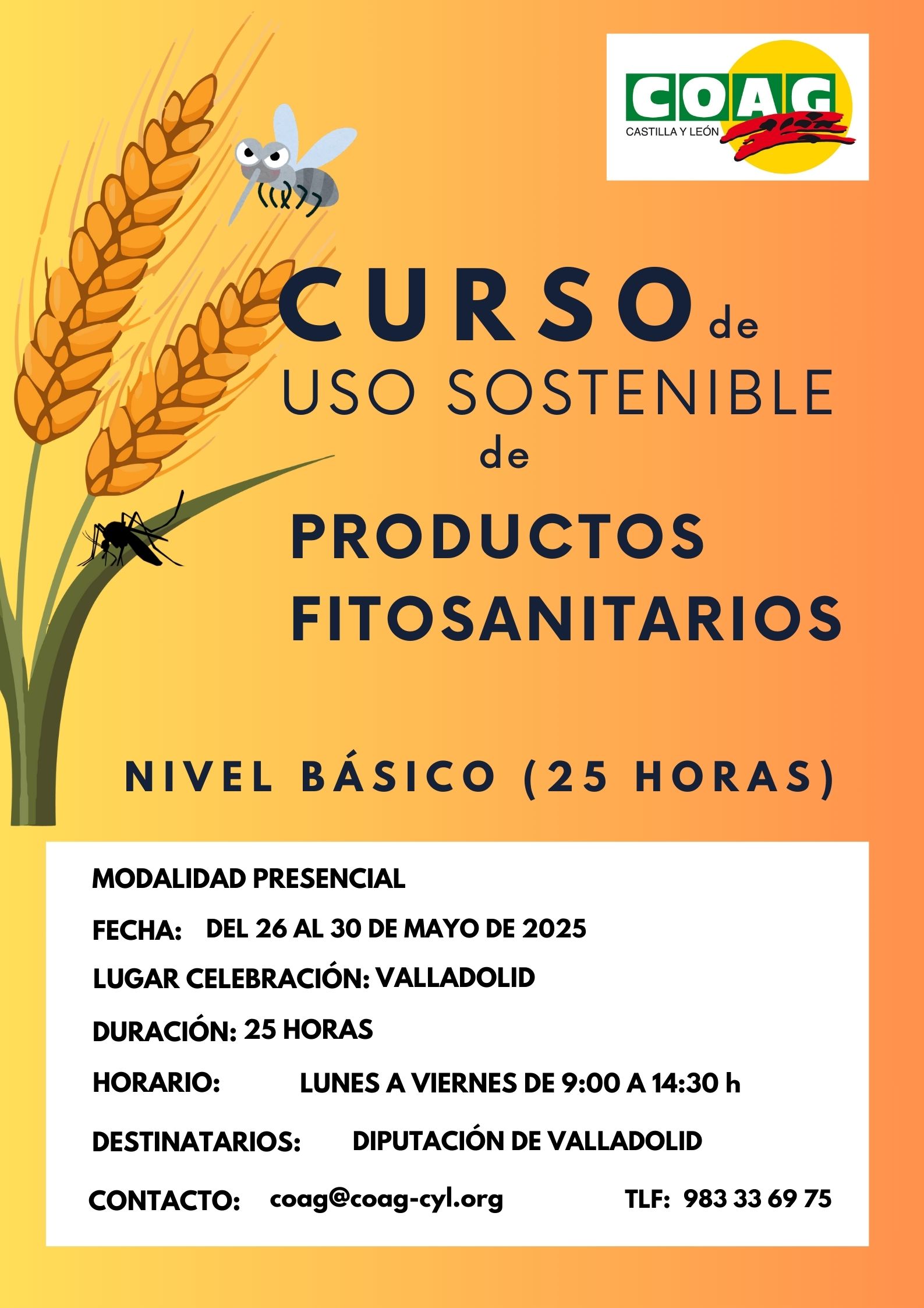 FITOS DIPUTACION VALLADOLID