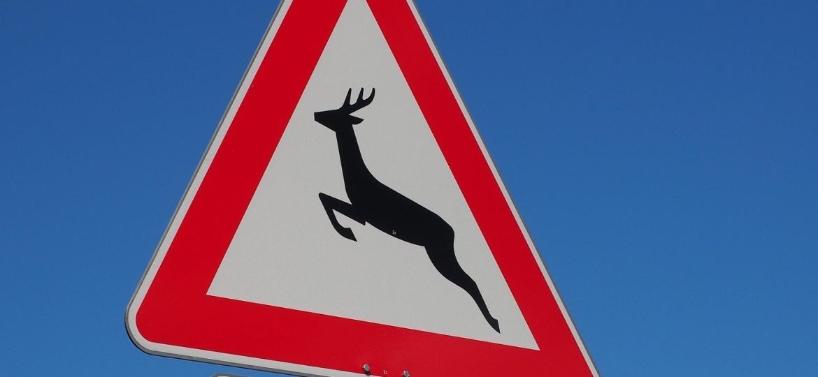 sign-693607_1920