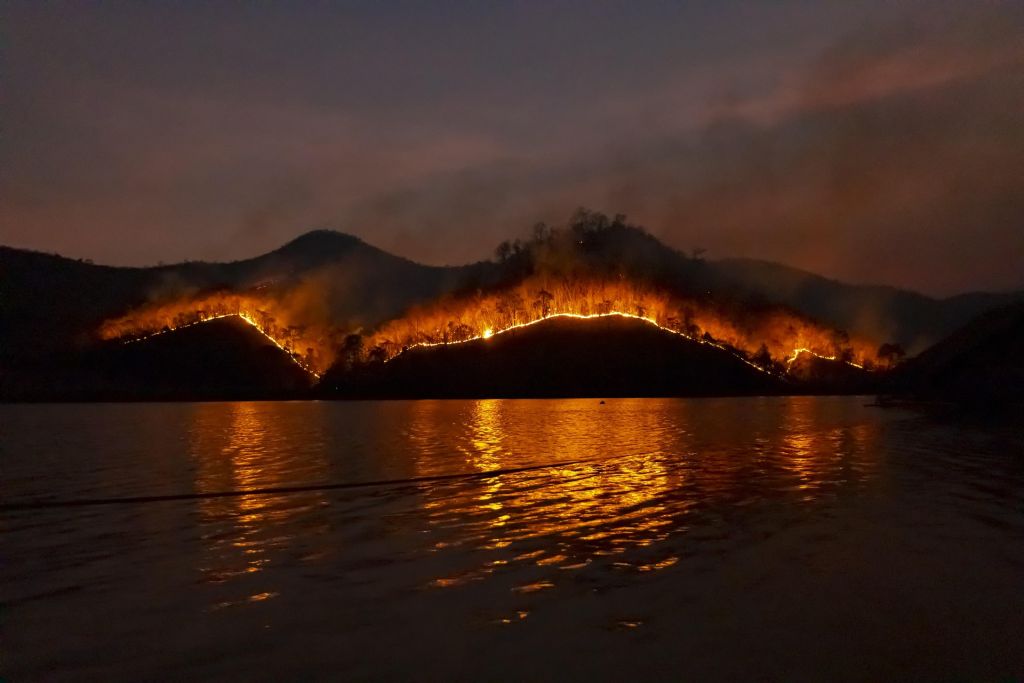 INCENDIOS: COAG pide a Junta y Gobierno central medidas excepcionales de apoyo a los afectados y un presupuesto generoso para su financiación