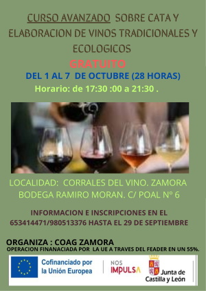 CARTEL CATA AVANZADO RED