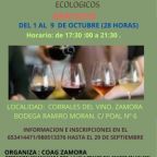 CURSO CATA CORRECTO red