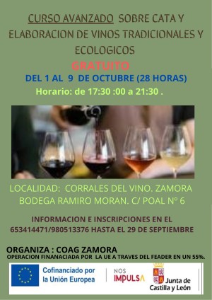 CURSO CATA CORRECTO red