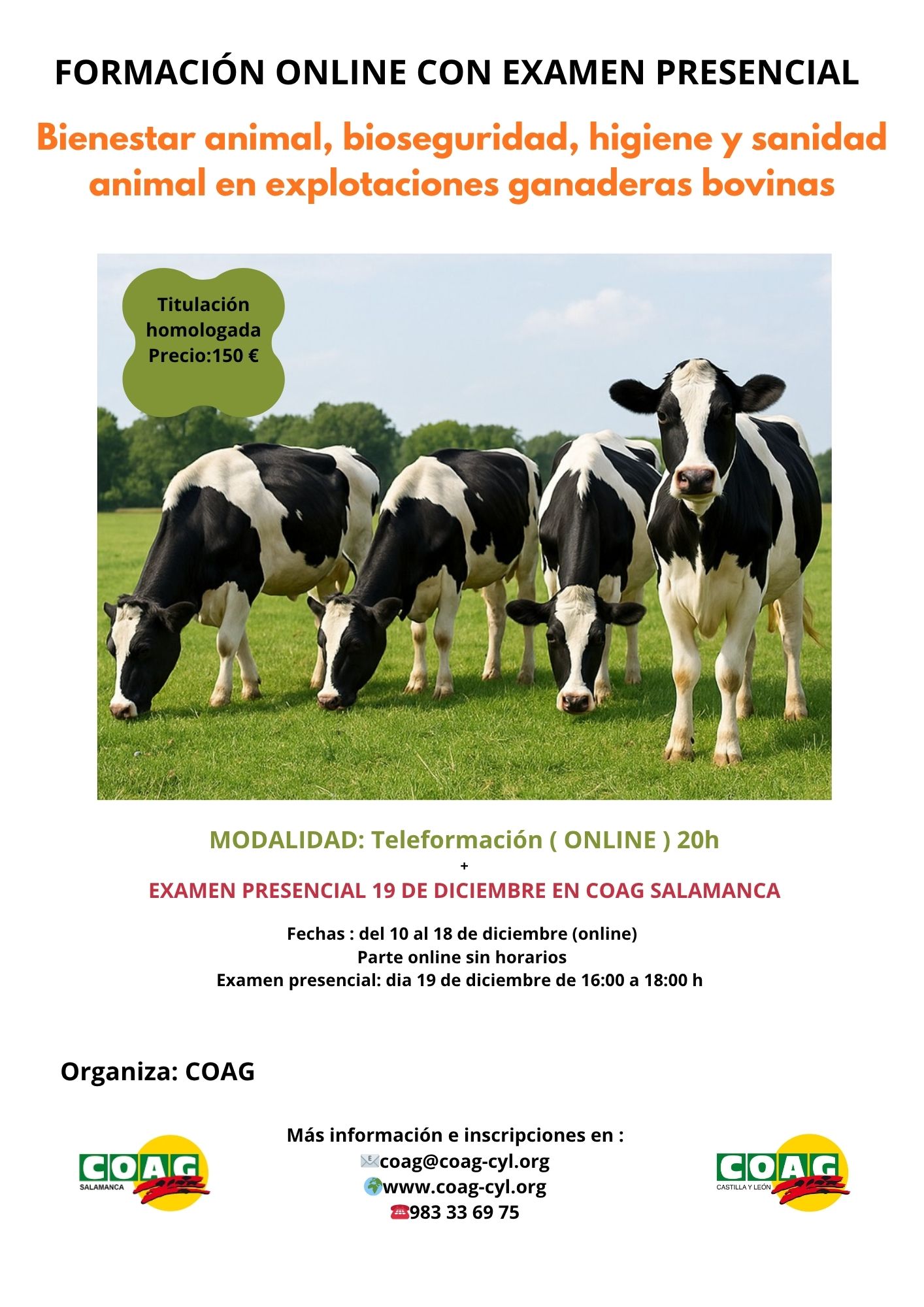 curso de bienestar animal bovino