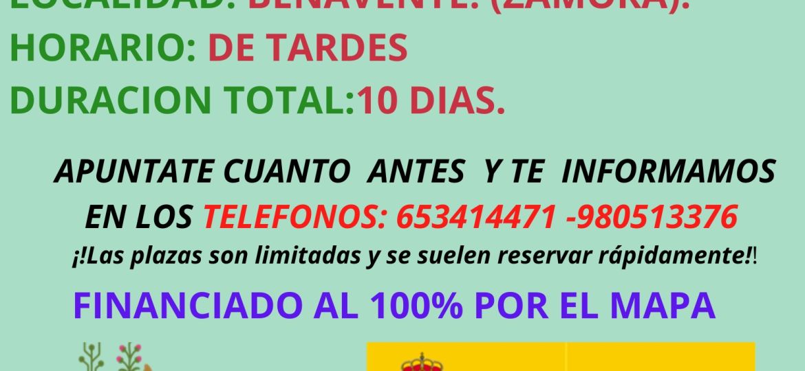 CARTEL CURSO PUENTE BENAVENTE