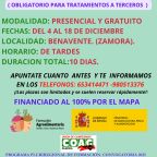 CARTEL CURSO PUENTE BENAVENTE