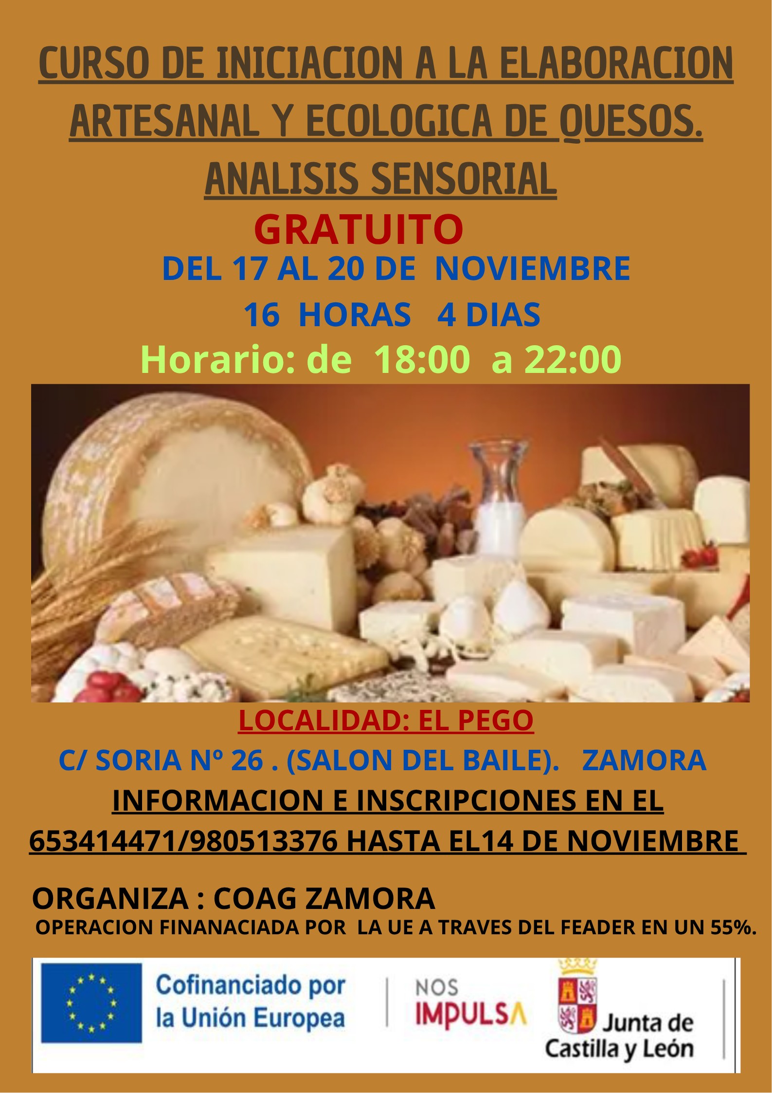 Curso de iniciación a la elaboración artesanal y ecológica de quesos, análisis sensorial (16h)