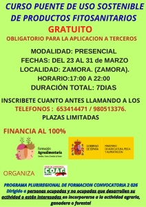 CARTEL CURSO PUENTE 212X300