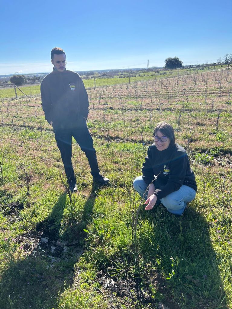 Bodega el Hato y el Garabato, la propietaria forma al alumno sobre la vid.