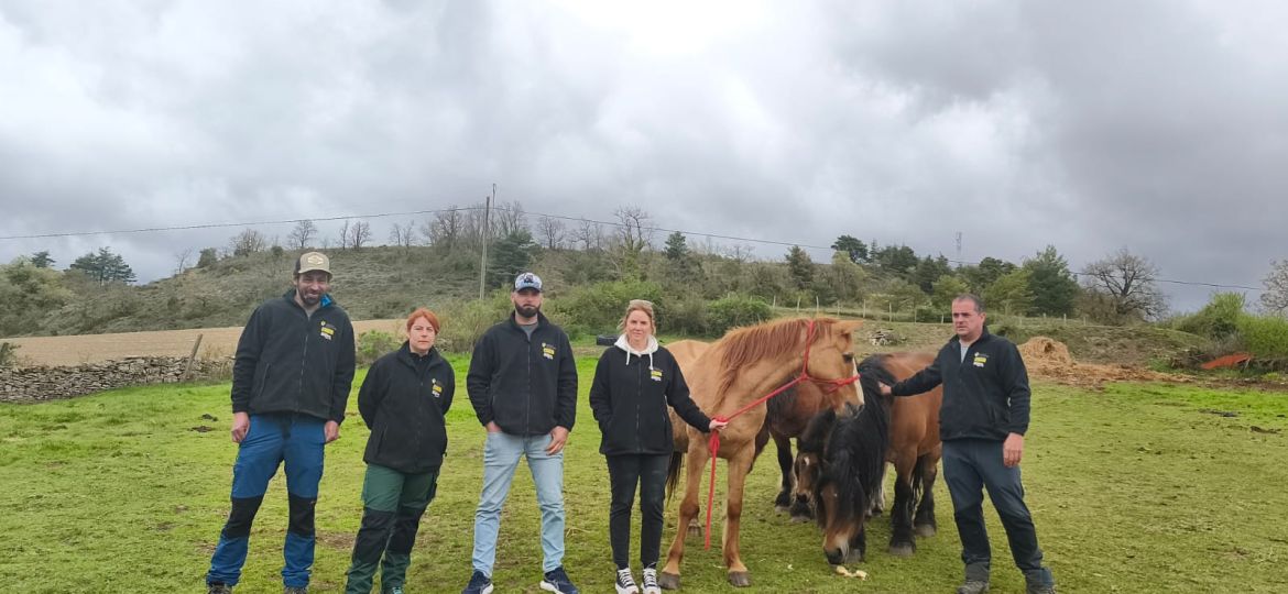 WhatsApp Image 2026-04-13 at 13.16.56