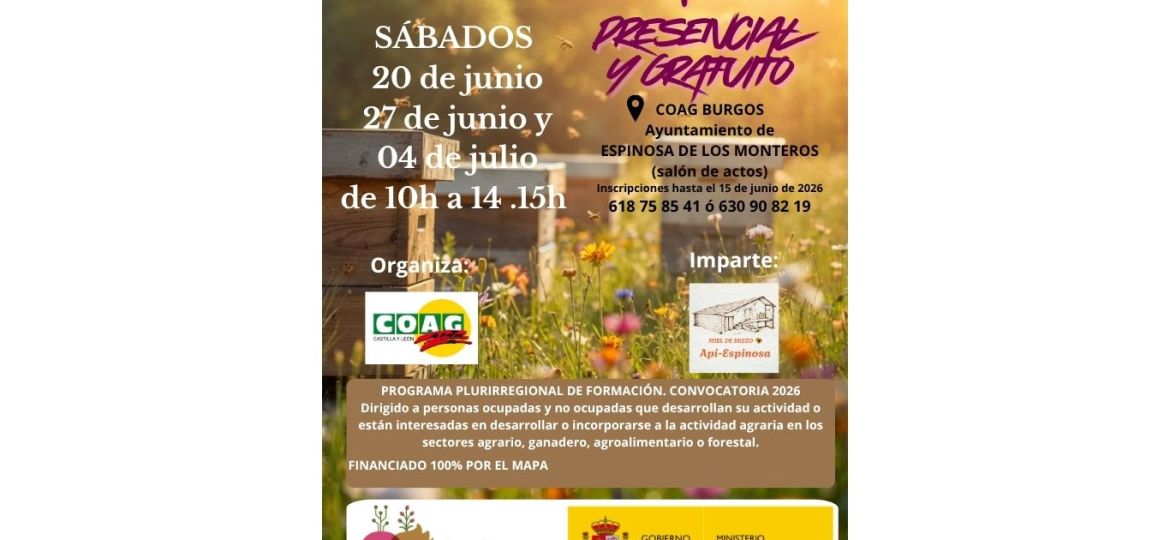 Curso iniciación a la apicultura (Sitio web)