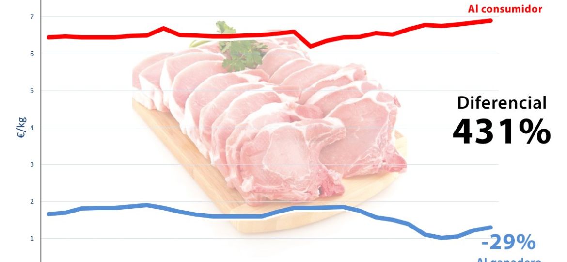 dif precios origen-destino