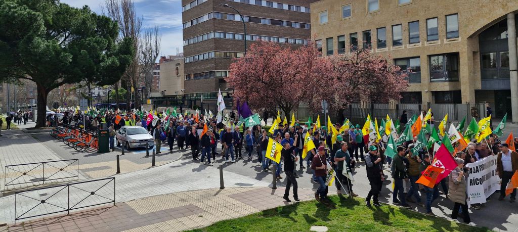 manifestación unitaria en Valladolid