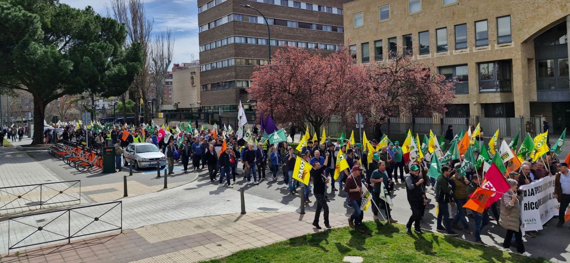 manifestación unitaria en Valladolid