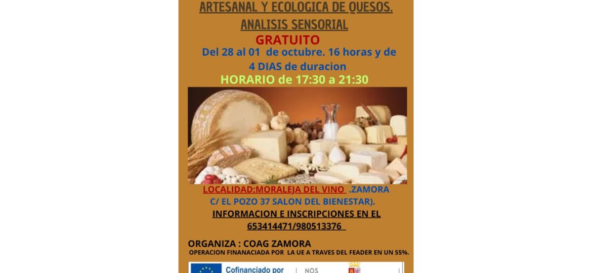 QUESOS xitio web