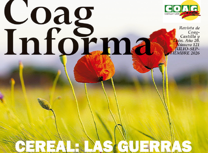 imagen 121