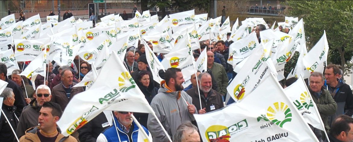 MANIFESTACIÓN