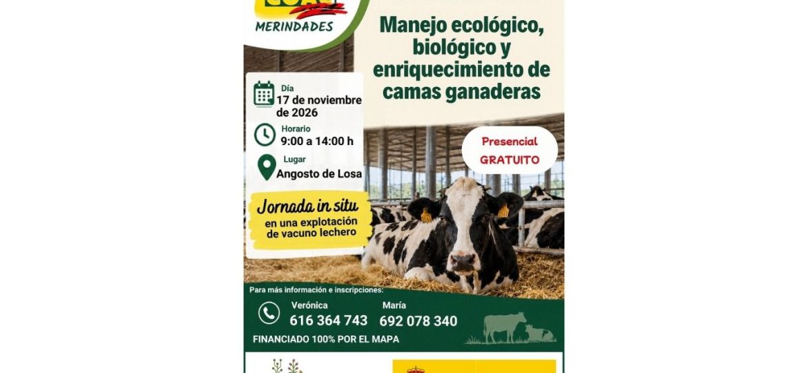 pagina web